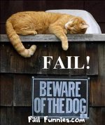 beware-of-the-dog-fail.jpg